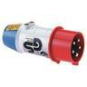BALS CEE-Drehfeldrichtungsanzeiger  2235 