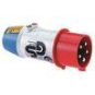 BALS CEE-Drehfeldrichtungsanzeiger  2234 