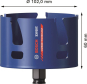 Bosch EXPERT                  2608900480 
