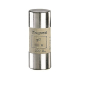 Legrand 015340 Zylindersicherung gG 40A 