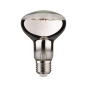 Paulmann LED Fil Plant R80 E27     28733 