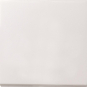 GIRA 0126112 Tastschalter Aus-Wechsel 