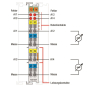 WAGO 750-457 4-Kanal-Analogeingang,DC 