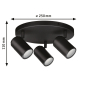 Paulmann Spotlight                 66776 