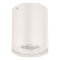 EVN Anbaudownlight schwenkb. ALS20100102 