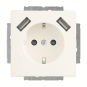 BJ Schuko/USB Steckdose  20 EUCB2USB-884 