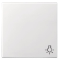 GIRA 028527 Wippe Symbol Licht System 55 