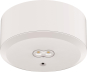 DOTLUX LED-Sicherheitsleuchte     3679-1 