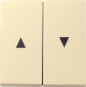 GIRA 029401 Wippe 2fach Pfeil System 55 