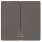 SIEM Wippe 2-fach mit Fenster    5TG6224 