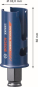 Bosch EXPERT                  2608900456 