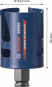 Bosch EXPERT                  2608900464 