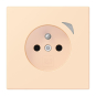 Jung JUNG HOME        BT LC 1521 F S 226 