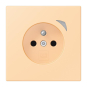 Jung JUNG HOME        BT LC 1521 F S 223 