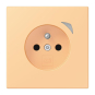 Jung JUNG HOME        BT LC 1521 F S 258 