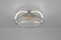 TRIO LED-Deckenl. CHARIVARI    621210107 