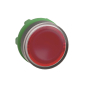 GS Leuchtdrucktaster            ZB5AW343 