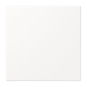 Jung Blind-Abdeckung           LS994BWWM 