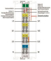WAGO 750-494/000-001 3-Phasen- 