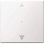 Merten Wippe f.Tastermodul 1fach  619425 