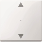 Merten Wippe f.Tastermodul 1fach  619419 