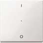 Merten Wippe f.Tastermodul 1fach  619319 