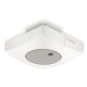 Steinel DUAL-E DALI2 UP WS        057435 