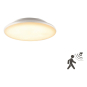 EVN LED Anbauleuchte IP54    L25120125BM 
