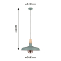Paulmann Pendelleuchte 340mm       79655 