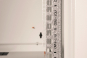 Assmann Wandgehäuse 12 HE   DN-19 12U-6 