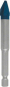 Bosch EXPERT HEX-9            2608900593 
