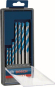 Bosch EXPERT CYL-9            2608900648 