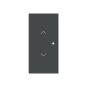 BJ Wippe 2-fach m.Symbol     6232-20-45M 