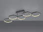 Trio LED-Deckenleuchte VIGO    R62055142 