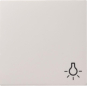 GIRA 028527 Wippe Symbol Licht System 55 