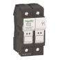 Schneider Sicherungshalter 2pol    DF102 