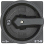 EATON P3-100/EA/SVB-SW/N/HI11     079216 
