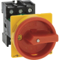 EATON P1-32/V/SVB Hauptschalter   095676 