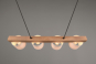 Trio Pendelleuchte CAMERON 4x  R30654001 