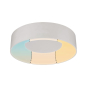 Paulmann WallCeiling HomeSpa Casca 78946 