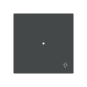BJ Wippe 1-fach m.Symbol     6231-10-45M 