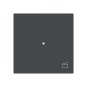 BJ Wippe 1-fach m.Symbol     6233-10-45M 