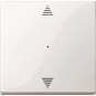 Merten Wippe f.Tastermodul 1fach  619419 