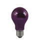 PAULM Glühlampe 75W E27           590.70 