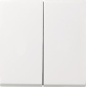 GIRA 029503 Wippe 2fach System 55 