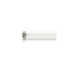 PHIL L-Lampe TL UV-A 80W-10-R   61262540 