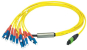 TEGA MPO/MTP Aufteilkabel    L00835A0032 
