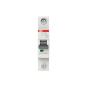 ABB Sicherungsautomat C-Char., S201-C100 