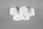 TRIO Deckenleuchte FERNANDO 6x 604900631 