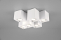 TRIO Deckenleuchte FERNANDO 6x 604900631 